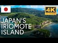 Japan S Forgotten Paradise The Natural Wonders Of Iriomote 4K UHD Documentary