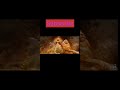 Oh God Aranmanai 3 Movie Short Shorts Short
