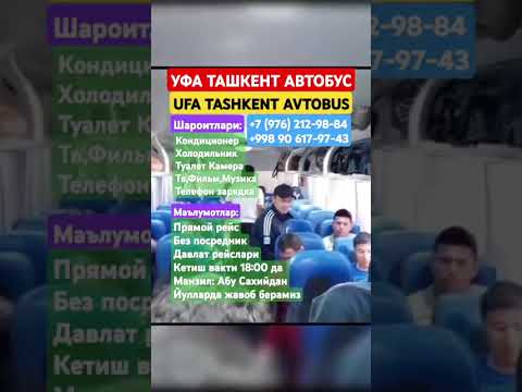 Tashkent Ufa avtobus primoy reys #tashkent #ufa #avtobus #primoy #reys #2025 #video #shorts #уфа #ru