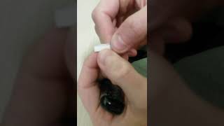 How to make a phone charger hmp style