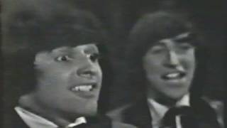 The Beau Brummels "Just a Little" 1965