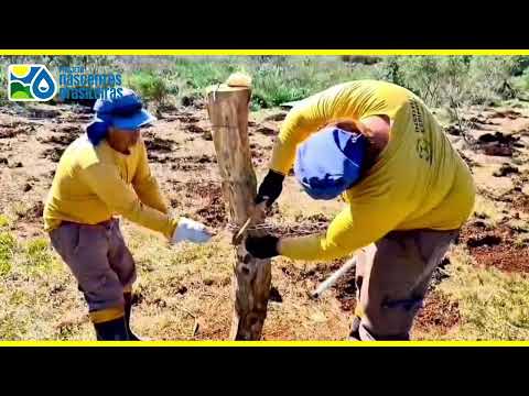 Nascentes Brasileiras - Muitos Capões-RS