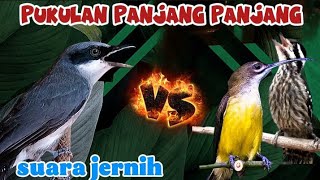 Download lagu Ini beda materi panjang panjang dan jernih | jinjing petulak, pijantung dan pelatuk beras mp3 Download lagu Ini beda materi panjang panjang dan jernih | jinjing petulak, pijantung dan pelatuk beras mp3