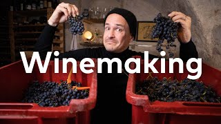 MASTER of WINE makes PINOT NOIR: How to make Red Wine Part 1.