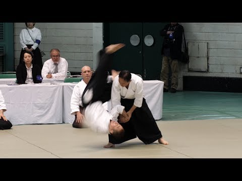 Aikido Yokota Yoshiaki - 56th All Japan Aikido Demonstration 2018