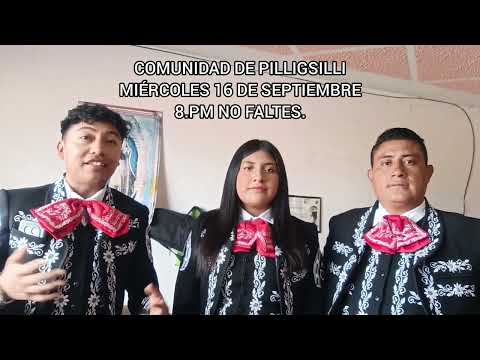 Contratos al WhatsApp 0984442076 - 0960415950
