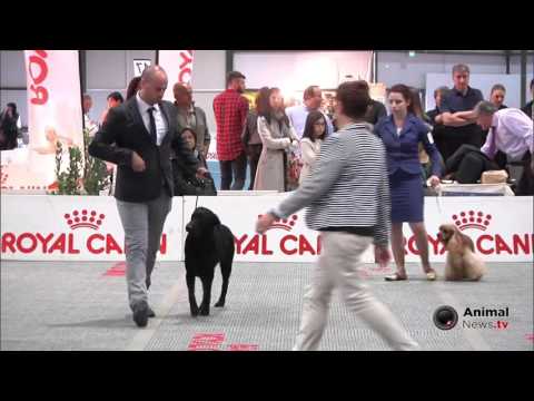 Bastia Umbra 2015 - Gruppo 8