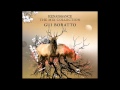 Schnee - Gabriel Ananda (Renaissance The Mix Collection - Gui Boratto)