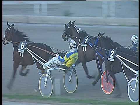 Trotto 26/01/2018 - 5ª corsa