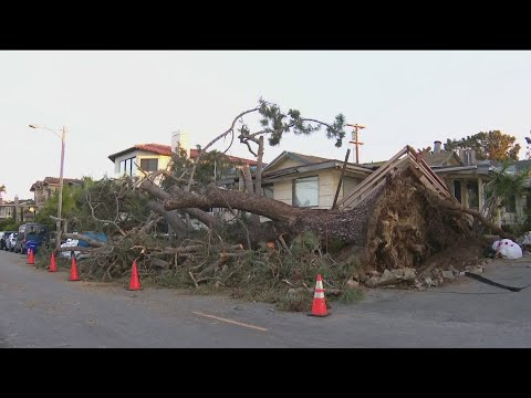 Storm topples trees across San Diego, killing one and crushing a home
