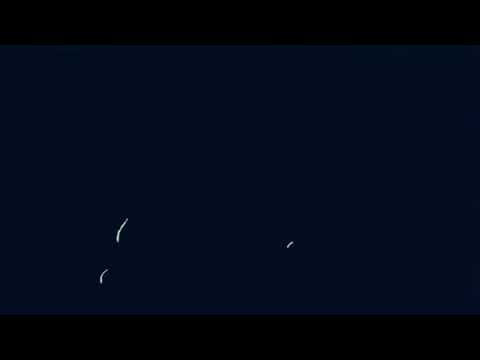 Rosee Camp - In the spot (Hard Grind) OFFICIAL Video