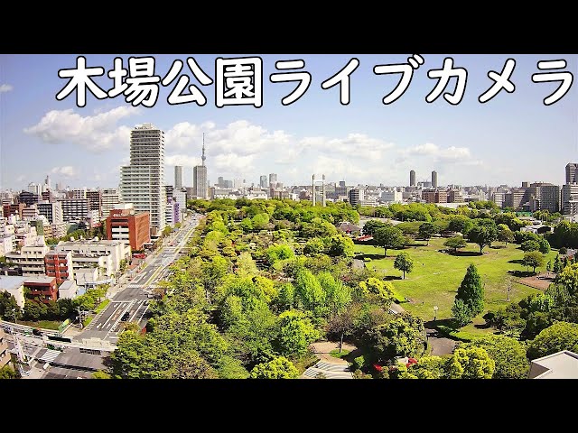 木場公園と東京スカイツリー