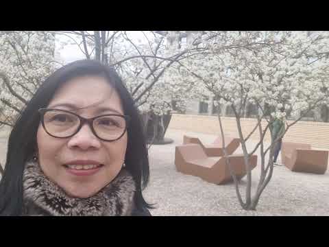 Vaduz Liechtenstein Regierung platz