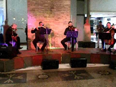 Quarteto Romançal 02