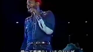 Marvin Gaye - LIVE How Sweet It Is 1974