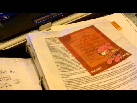 Gurl Get 2 Wurk Pt2: Lisha's Project