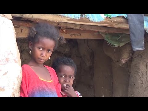 أوضاع مأساوية يعيشها النازحون في مخيم غرب تعز