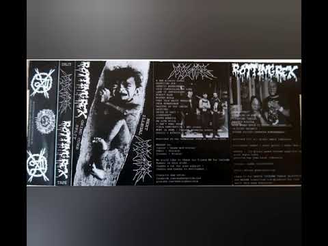 MASHER & ROTTING REX-splitape