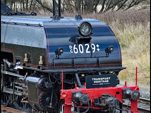Beyer-Garratt 6029 - Bathurst Steam Weekend 2022