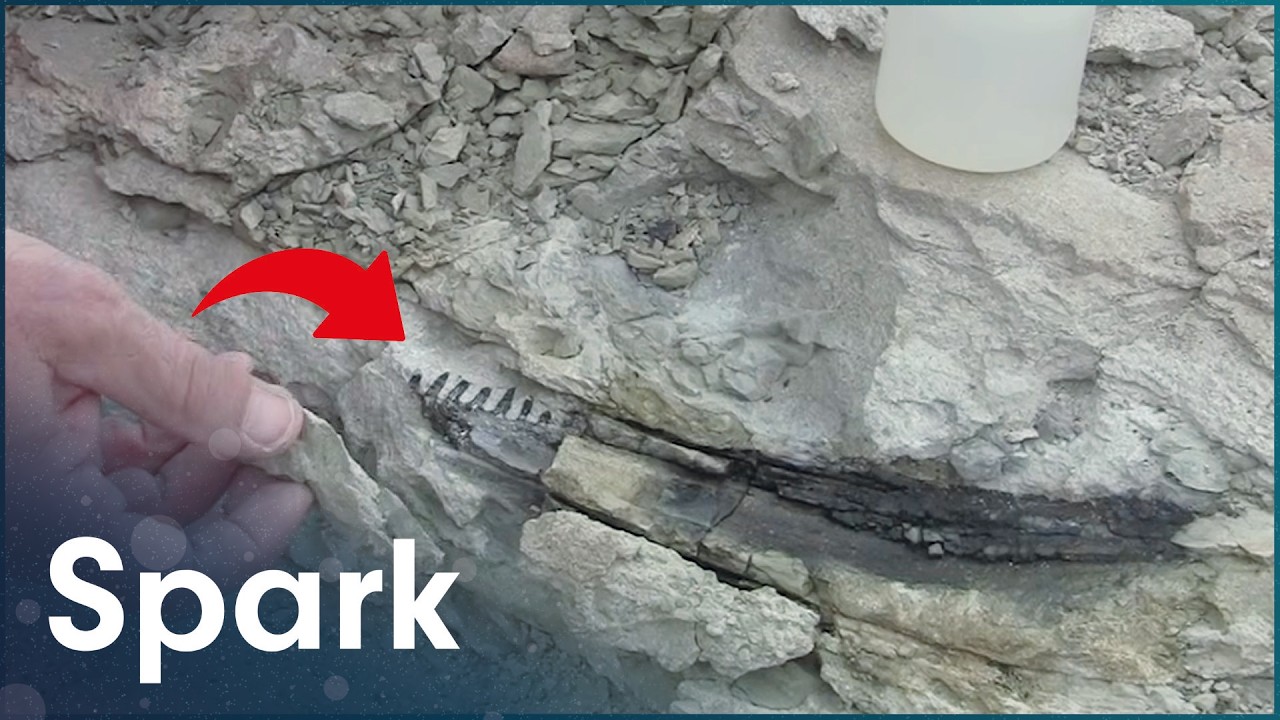 Palaeontologists Uncover Antarctica's Prehistoric Past