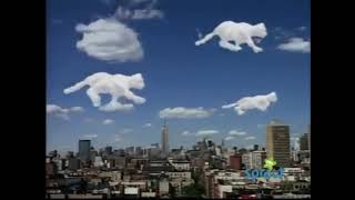 Sesame street Cats aper the clouds