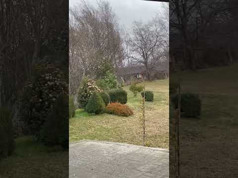 Mucho viento norte pleno invierno #villarricachile #araucania