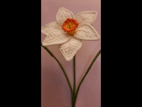 Narcisa crosetata pas cu pas