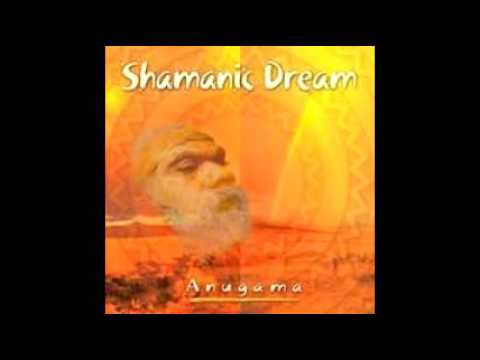Shamanic Dream by Anugama