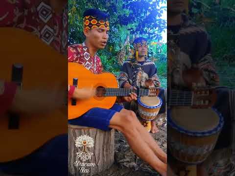 🍃✨Txana Yube e Txana Isaka - Hunikuin - Aldeia São Francisco - Música de Rezo - Medicina Song ✨🍃