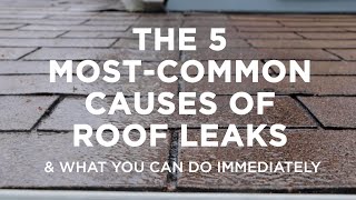 The Five Most–Common Causes of Roof Leaks – And What You Can Do