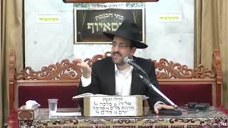 הרב מאיר אליהו • פרשת כי תשא  • מוסאיוף (בית הכנסת מוסאיוף) - התמונה מוצגת ישירות מתוך אתר האינטרנט יוטיוב. זכויות היוצרים בתמונה שייכות ליוצרה. קישור קרדיט למקור התוכן נמצא בתוך דף הסרטון