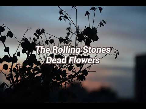 The Rolling Stones - Dead Flowers (Subtitulado al Español)