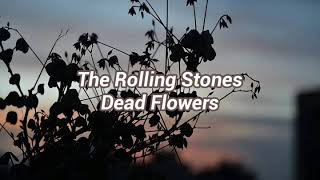 Download lagu The Rolling Stones - Dead Flowers (Subtitulado al Español) mp3