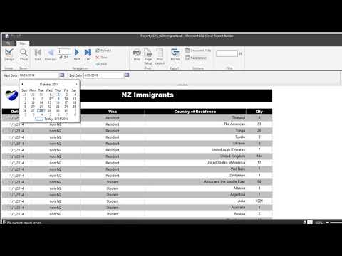 SSRS filter by Date - NZ Immigration Data Analysis