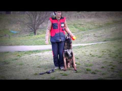 2014.03.02  Training