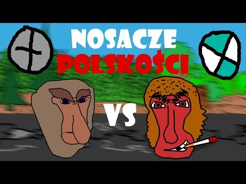 Nosacze Polskości №1#6 | Janusz vs Seba "Żelazny deszcz" |