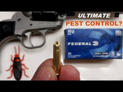 Federal .22 LR Bird & Snake Shotshell - Is It Really Effective? 3-Gun Shooting Review