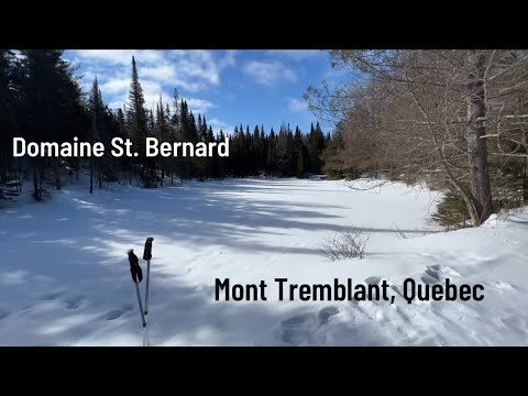 Caminhada de inverno em Domaine St. Bernard, Mont Tremblant