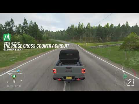 Does anybody else ever get this bug? Forza Horizon 4