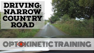 Advanced Vestibular Exercise: Narrow Country Road