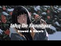 Ishq De Fanniyar Slowed Reverb Lo Fi Song