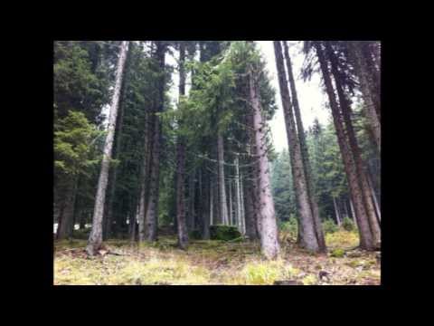 White Lodge (Liquid Rainbow)  - A Tribute to Twin Peaks