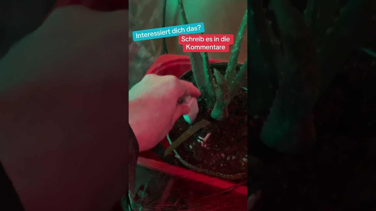 Temperatur - Luftfeuchtigkeit- Bodenfeuchte - LED je nach Wert