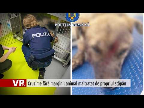 Cruzime fără margini: animal maltratat de propriul stăpân
