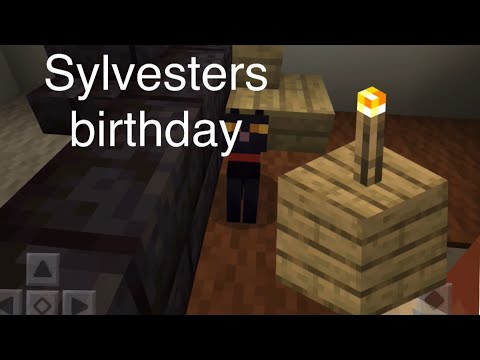 Talking kitty cat in Minecraft 35 Sylvesters birthday March 24
