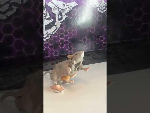 099 Daily Stop Motion Challenge | Rattrap Maximize