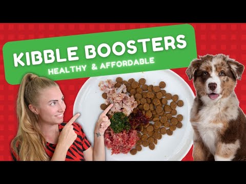 BOOST YOUR DRY DOG FOOD: 3 additions to make your kibble healthier!