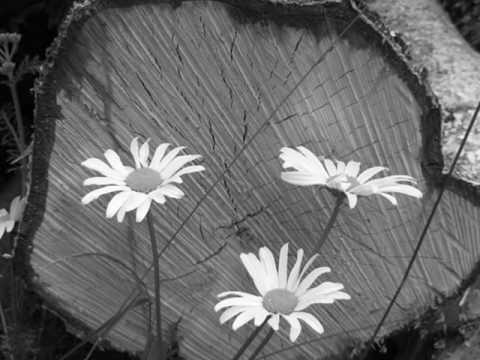 Baby Grand - Can't Keep It Inside