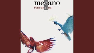 La Forza del Destino