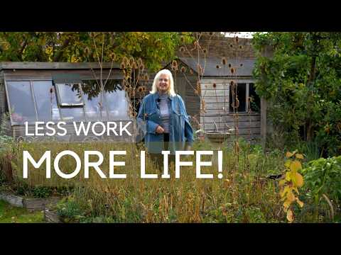 Why I Don't Cut Back My Garden for Winter